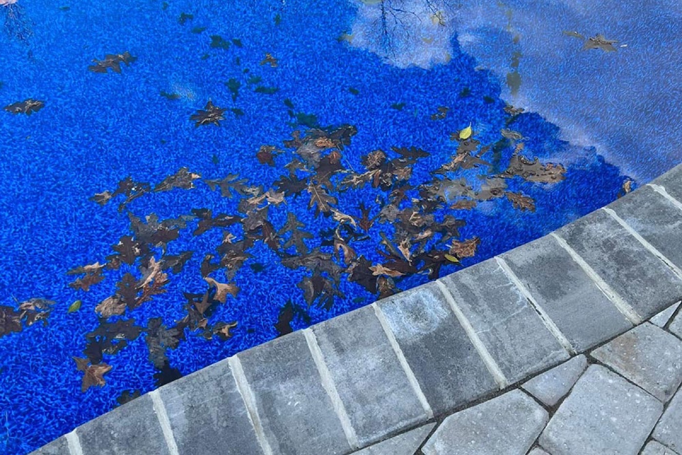 Pool & Water-Feature Care — project photo